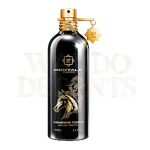 Arabians Tonka - Montale