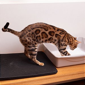 Tapete Coletor Para Caixa de Areia - Gatos