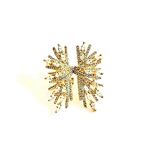 Brinco Piercing Shine