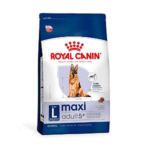 Maxi Adult 5+ 12kg