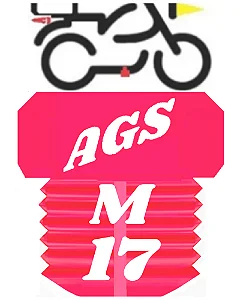 Bujão Rosa M17, Oleo Carter, Moto Carro Caminhão
