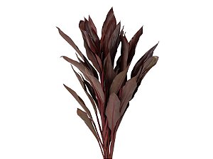 FOLHAGEM DRACENA RUBRA VINHO
