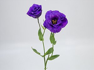 LISIANTHUS BALBOA PURPLE 070 CM MIN 500 GRAMAS ROXO