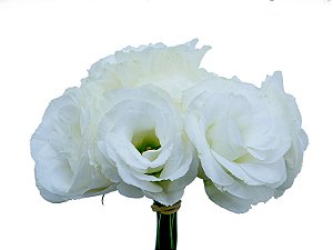 LISIANTHUS FLOR BRANCO