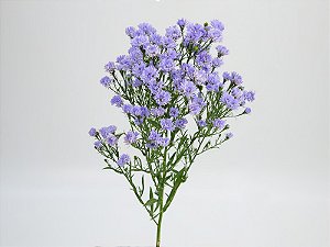 ASTER DOBRADO PLUS 070 CM MIN 20 GRAMAS LILAS