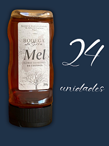 Caixa de mel com 24 unidades de 280 g.