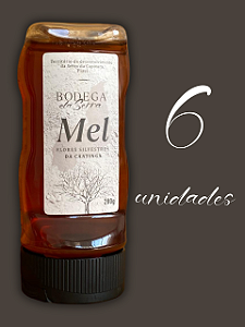 Kit 6 bisnasgas de 280 g.