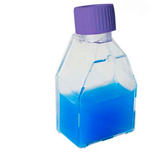 FRASCO P/ CULTIVO DE CELULAS ULTRA ADESAO 12,5CM2 TAMPA VENT C/ FILTRO - PCT/10 - KASVI