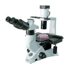 MICROSCÓPIO BIOLOGICO TRINOCULAR INVERTIDO - KASVI