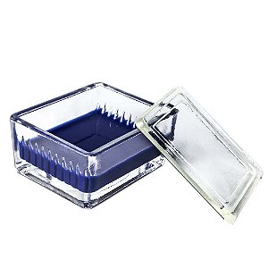 CUBA DE COLORAÇAO 10 LAMINAS C/ TAMPA - FIRSTLAB