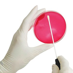 SWAB P/ COLETA E TRANSPORTE C/ MEIO AMIES C/ CARVAO ESTERIL - CX/100 - FIRSTLAB