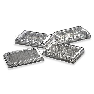 PLACA 96 POÇOS MICROTITULAÇAO PLANO ESTERIL EMB. IND. - PCT/50 - ALFA