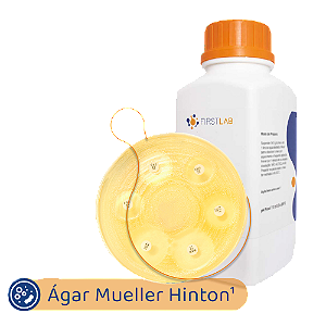 AGAR MUELLER HINTON DESIDRATADO 500G - FIRSTLAB