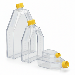 FRASCO PARA CULTIVO 25CM2 C/FILTRO - PCT/10- TPP