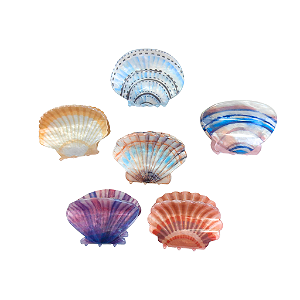 Prendedor De Cabelo Conchas Realistas 6cm