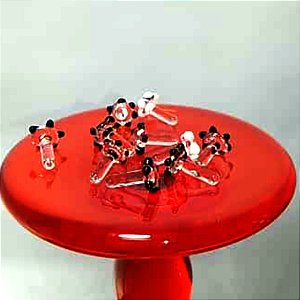 2 Pçs Tela de vidro