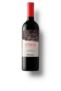 Vinho Emiliana Coyam