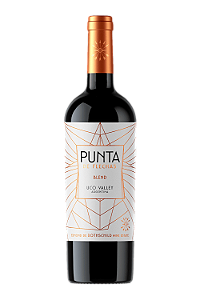 Vinho Flechas de Los Andes Punta de Flechas Wine Estate