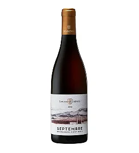 Vinho Edouard Delaunay Septembre Bourgogne Pinot Noir 750 ml