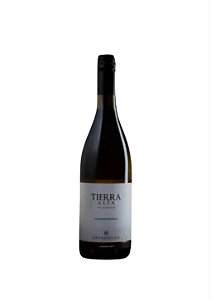 Vinho Chardonnay Reserva Tierra Alta Reserva 750 ml