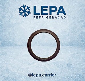 RETENTOR , MANCAL TRAZEIRO CT4-114 TV / IDI/ESC/T2/T4,CT4-134