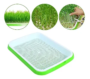 Bandeja Dupla para Germinação de Microverdes/Hidroponia