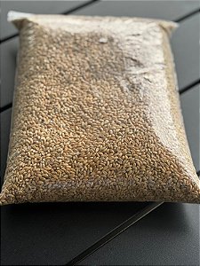 Trigo em Grãos Orgânico Ecobio 400g – Germináveis