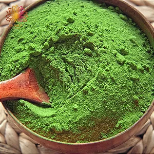 Chlorella em Pó – 150g