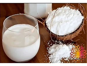 Leite de Coco em Pó – 200g
