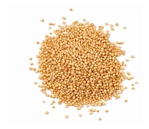 Amaranto em Grãos Premium 500g