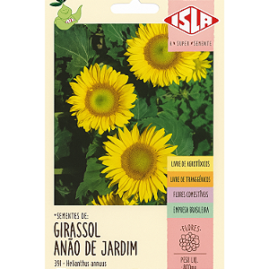 Sementes de Girassol Anão de Jardim