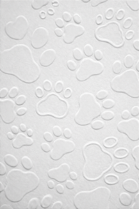 Modelo Textura Pet em Alto Relevo