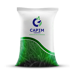 Sementes De Capim Vaquero - Pacote Com 1 Kg
