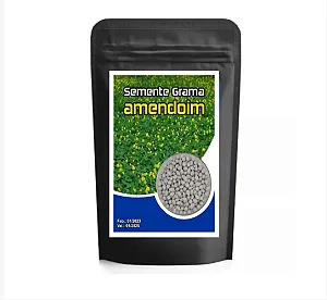 300 Sementes Grama Amendoim Forrageiro (arachis Pintoi)