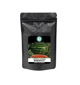 Sementes de Melancia Híbrida Barhan F1 - 10.000 Sementes