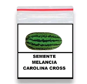 Melancia Gigante Carolina Cross - 1.000 Sementes