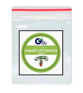 Mamão Anão Do Amazonas Papaya - 50 Sementes