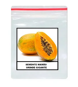 Sementes do Mamão Gigante Onride Para Grande Produção - 100 Unidades