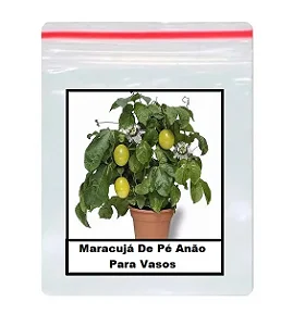 Sementes Maracujá De Pé Anão Para Vasos - 100 Unidades