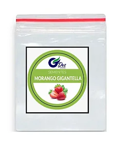 Sementes de Morango Gigante Gigantella - 300 Unidades