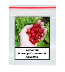 Sementes de Morango Ornamental - 50 Unidades