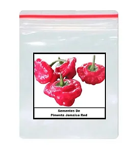 50 Sementes de Pimenta Jamaica Red - Ideal para Cultivo