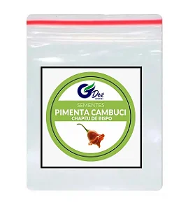 Sementes De Pimenta Cambuci Chapéu De Bispo 100 unidades