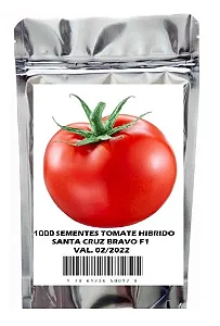 Sementes de Tomate Híbrido Sta Cruz Bravo F1 1.000 unidades
