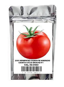 Tomate Híbrido Sta Cruz Bravo F1 Original - 250 Sementes