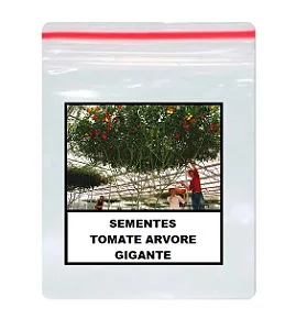 Sementes Tomate De Árvore Italiano Gigante 500 unidades