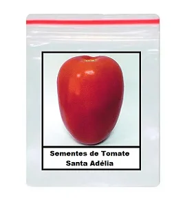 Sementes de Tomate Santa Adélia 300 unidades