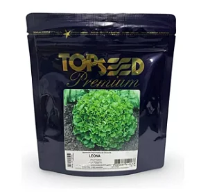 Sementes De Chicória Escarola Leona 2.000 Sementes Topseed