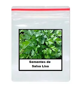 Sementes de Salsa Lisa 80 unidades
