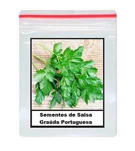 Sementes de Salsa Graúda Portuguesa 80 unidades